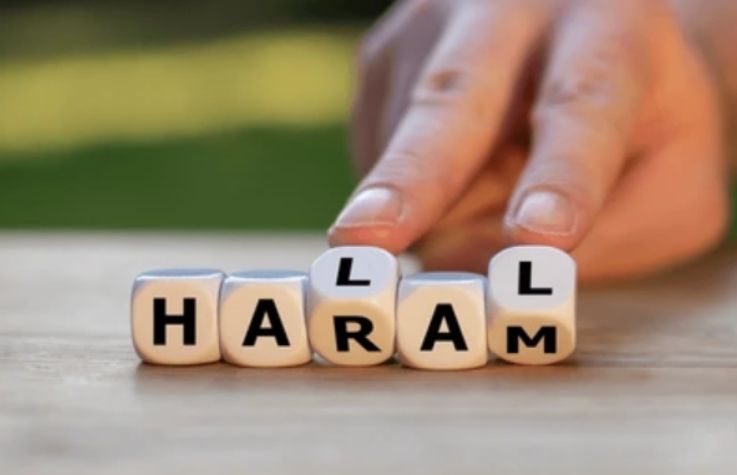 Halal and Haram