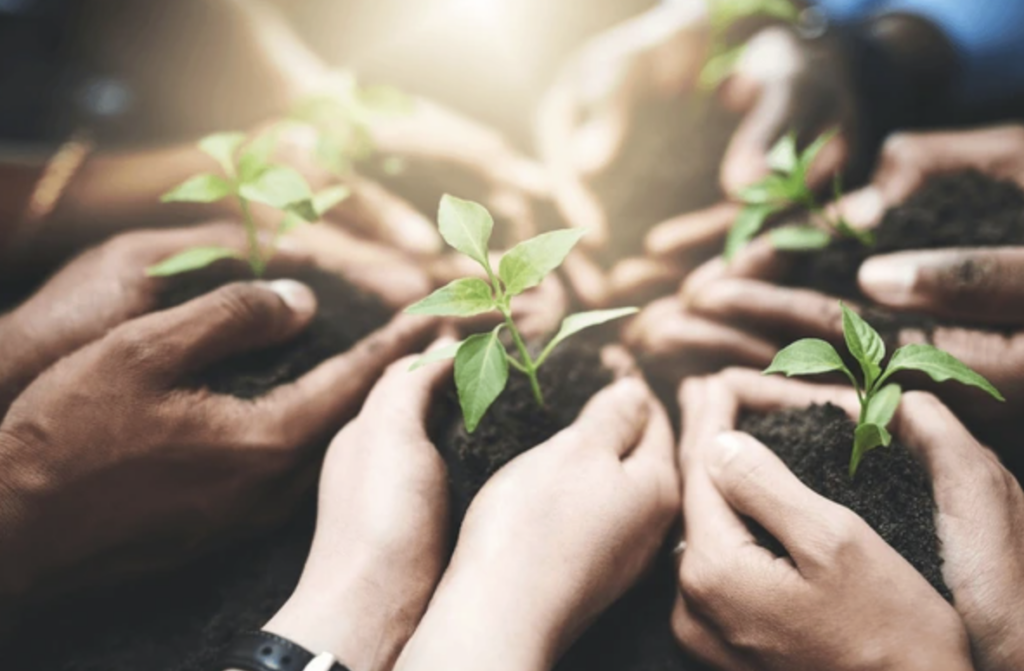 What Is the ISO 14001 Climate Change Amendment?