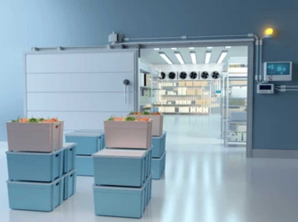 Why ISO 14001 Is Important in the Food Industry