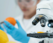 BRCGS vs FSSC 22000 Which Food Safety Certification