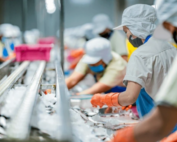 Common HACCP Nonconformities in Malaysia