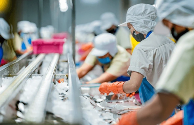 Common HACCP Nonconformities in Malaysia
