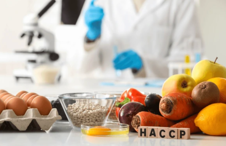HACCP vs FSSC 22000