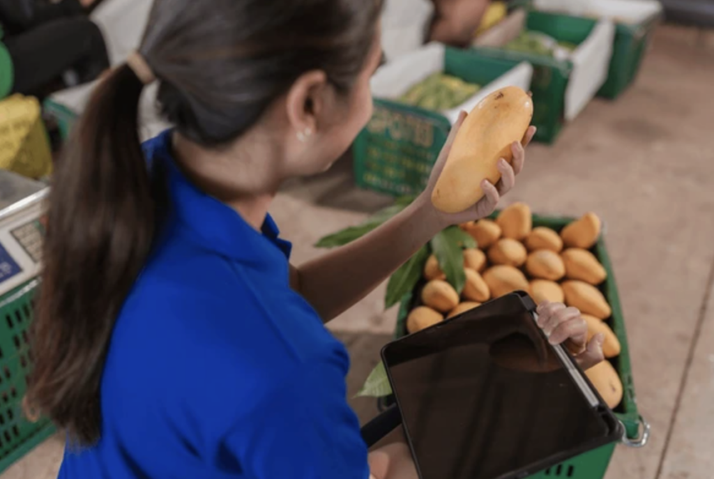 haccp vs FSSC22000