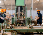 Sawmill workers in safety gear cutting logs, where traceability records for EUDR Malaysia exports begin